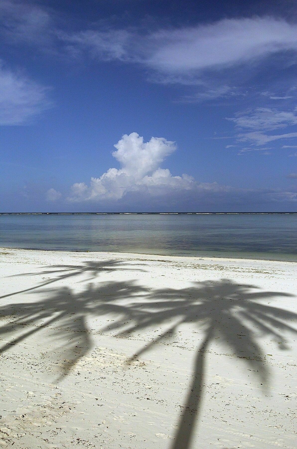 The Palms Zanzibar Hotel Bwejuu Luaran gambar